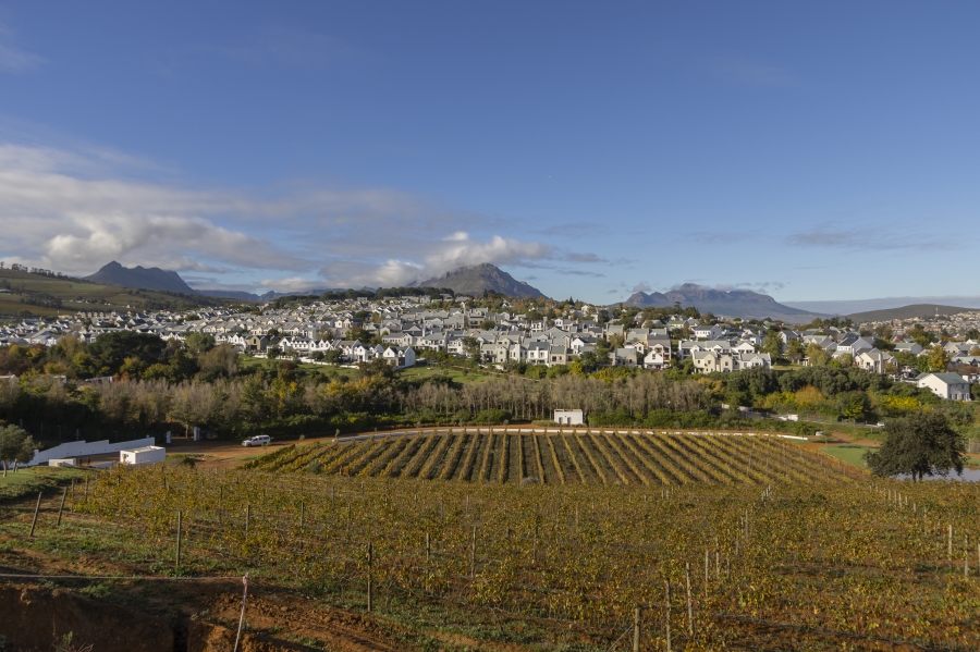 0 Bedroom Property for Sale in Weltevreden Hills Estate Western Cape